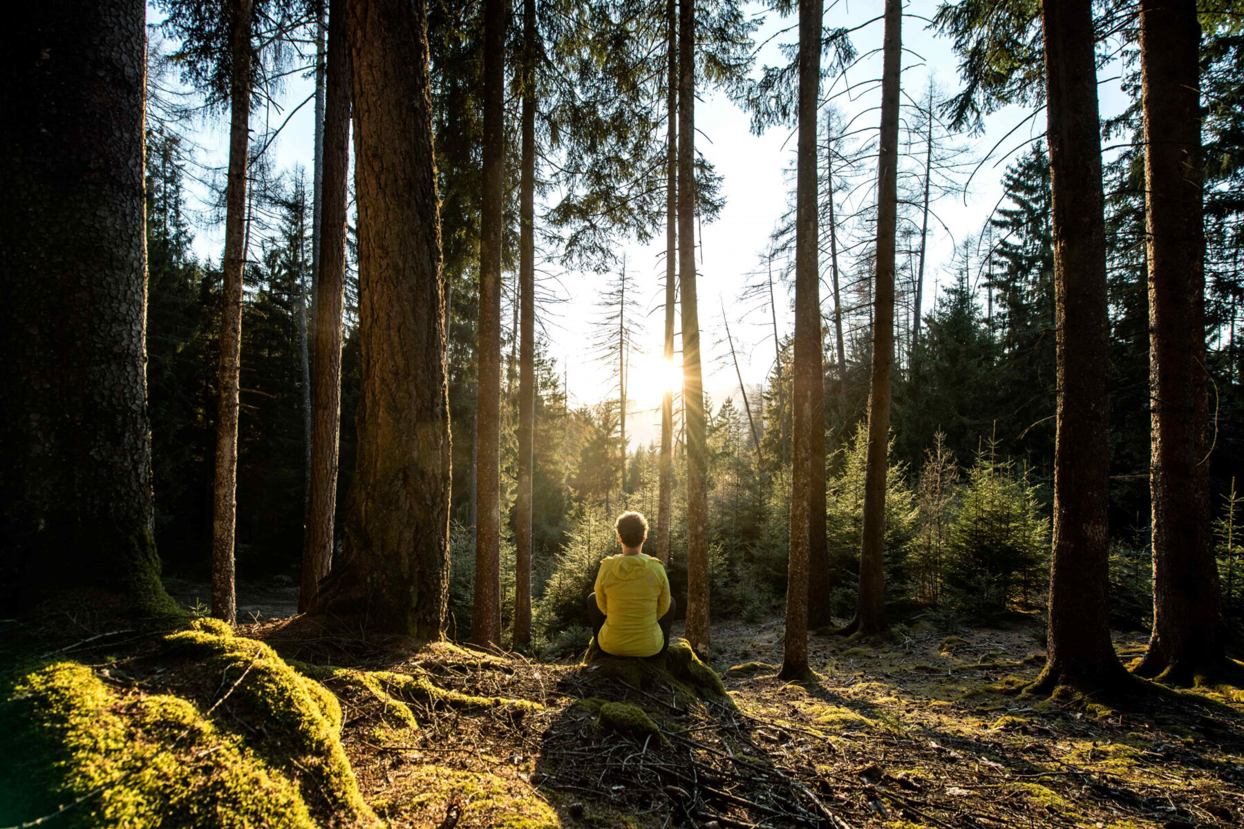 Bagno nella foresta – Te stesso