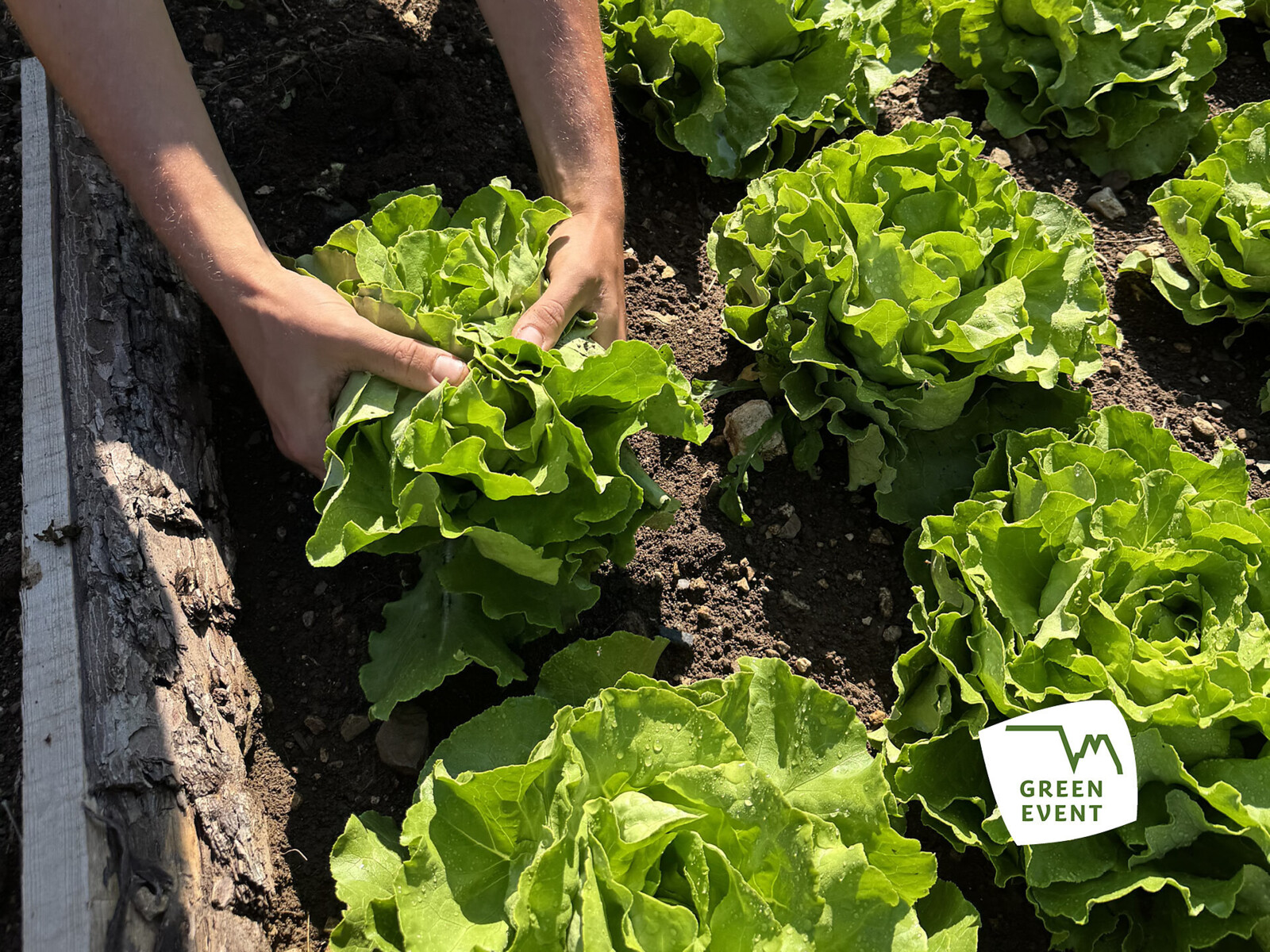 Gita consigliata: Easy Farming – Dal prato all’orto