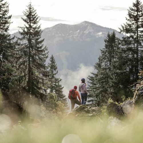 Draußen Wege finden - Wanderung 65747967a6a7003-Bild.jpg